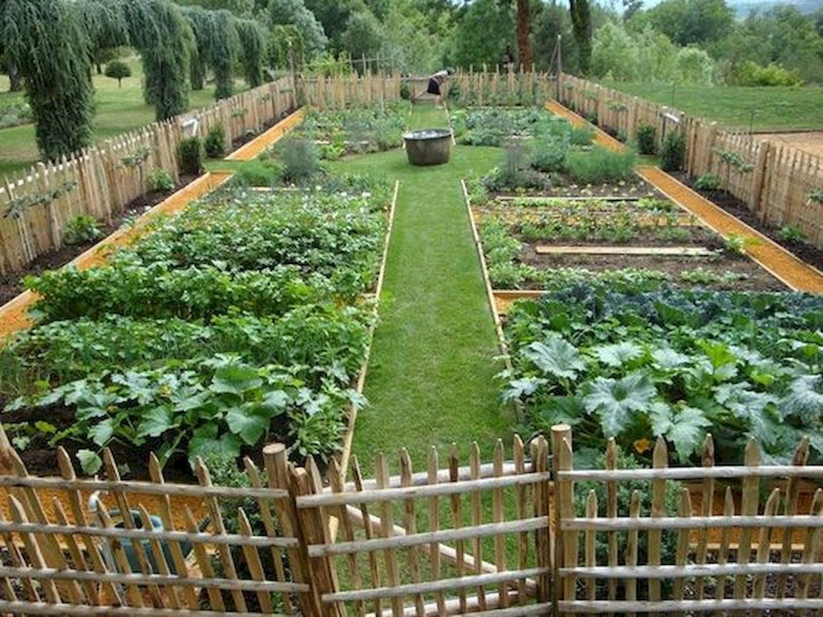 Chcete mať bohatú úrodu v záhradke? Dáme vám niekoľko tipov!